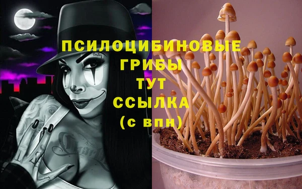 прущие крисы Алзамай
