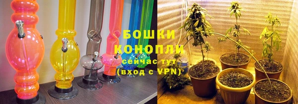 молекула духа Покровск